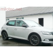 Kotflügelkanten - Škoda Fabia III. Kombi, vonv. 2014