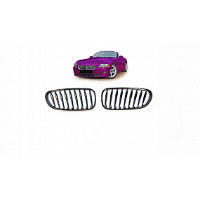 BMW Z4 E85 E86 Gitter einzelne Lamellen Glänzend Schwarz BMW Z4 E85 E86 Gitter einzelne Lamellen Glänzend Schwarz