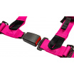 Sportarmbänder Slide V2 Rosa 4P 2" E4