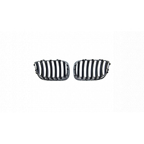 Grill BMW X5 E53 Facelift einzelne Lamellen Matt Schwarz