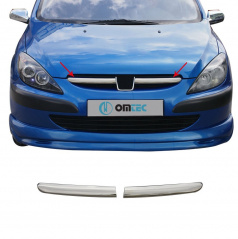 Edelstahl-Chromleiste der Frontmaske OMTEC Peugeot 307 2001-05