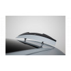 Satz Splitter Mercedes-AMG GT 63 C192 v.2