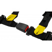 Sportgurte Slide V2 Schwarz 4P 2" E4