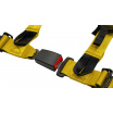 Sportgurte Slide V2 Gelb 4P 2" E4