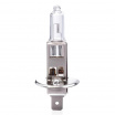 Halogenlampe H1 12V 55W UV-Filter (E4) 1 Stk