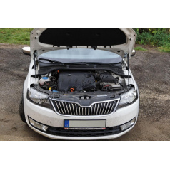Škoda Rapid – ein kompletter Satz KI-R-Motorhaubenstreben
