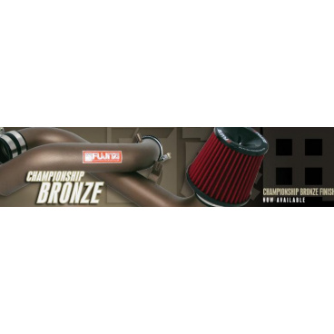 INFINITI G35/M35/350Z 03-06 3.5L KURZSAUGUNG Bronze INFINITI G35/M35/350Z 03-06 3.5L KURZSAUGUNG Bronze