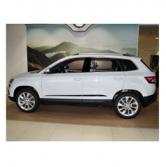 Seitentürleisten Škoda Karoq – glänzendes Schwarz im Sportline-Stil