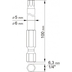 Bitsatz 1/4" 2 Stück TORX L=100 mm T20, T30