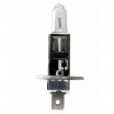 Halogenlampe H1 12V 55W UV (E4)