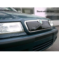 CITROEN BERLINGO 2 DV. 1996-2003 FRONTVISIER WINTER