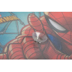 Sonnenschutz für die Seitenscheibe SPIDERMAN 2 Stk