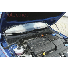 Gasdruckfedern Motorhaube - Škoda Octavia III.r.v. 2013/2017