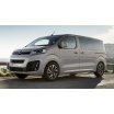 Edelstahlabdeckung - Schwellenschutz für die hintere Stoßstange Citroen Space Tourer 2016+