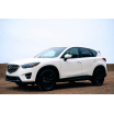Einstiegsleisten aus Edelstahl, 4 Stück, Spezialschwarz, Mazda CX-5 2008–17