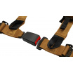 Sportgurte Slide V2 Gold 4P 2" E4