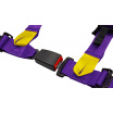 Sportgurte Slide V2 Violett 4P 2" E4