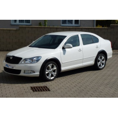 Kotflügelkanten – schwarzes Muster Škoda Octavia II Facelift-Limousine