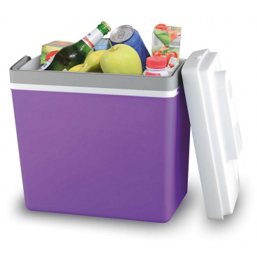Kühlbox tragbar 23l 220V/12V