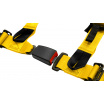 Sportgurte Slide V2 Gelb 4P 2" E4
