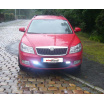 LED-Leuchten für Škoda Octavia 2009-, automatisches Tagfahrlicht, Homologation