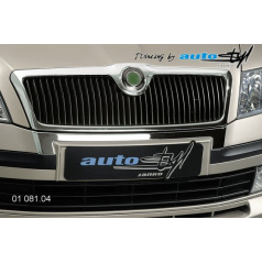 Chrom unter der Frontschürze des Skoda Octavia II