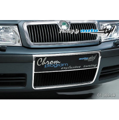 Škoda Octavia 2001 Kühlerrahmen und Seriennummer