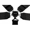Sportgurte Slide Quick 5p 3" Schwarz Homologation SFI
